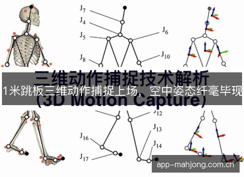 1米跳板三维动作捕捉上场，空中姿态纤毫毕现